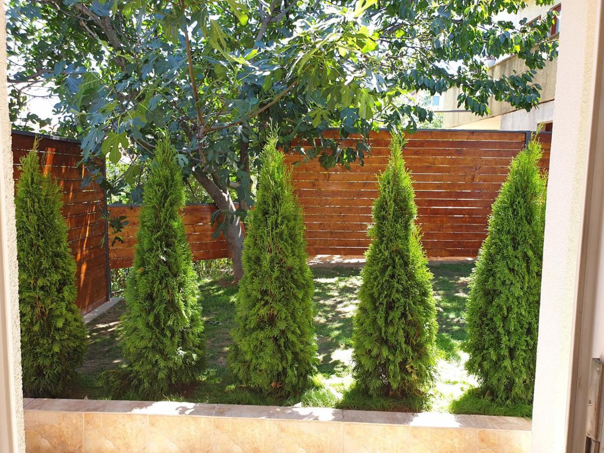 Kuca Ema Villa Beograd Bagian luar foto