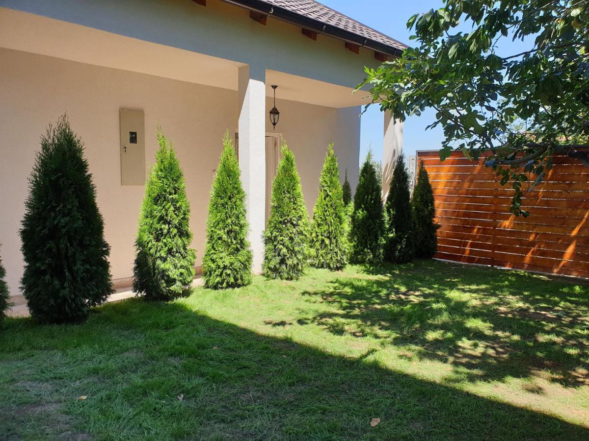 Kuca Ema Villa Beograd Bagian luar foto